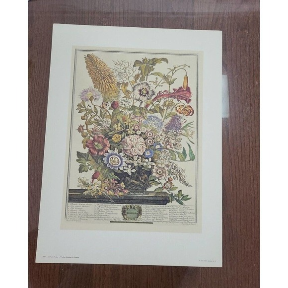 Rob Furber Gardiner At Kensington 1730 H. Fletcher "August" Month Of Flowers